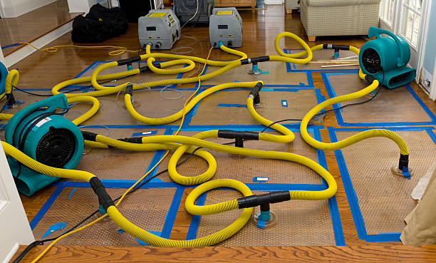 Professional Structural Drying And Dehumidification technician working in Millbury, MA